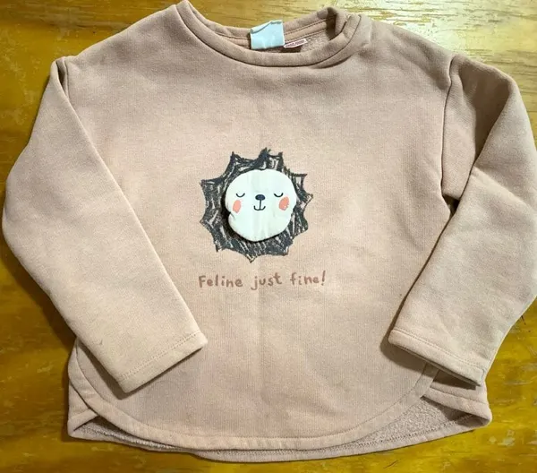 Sueter Zara para niños